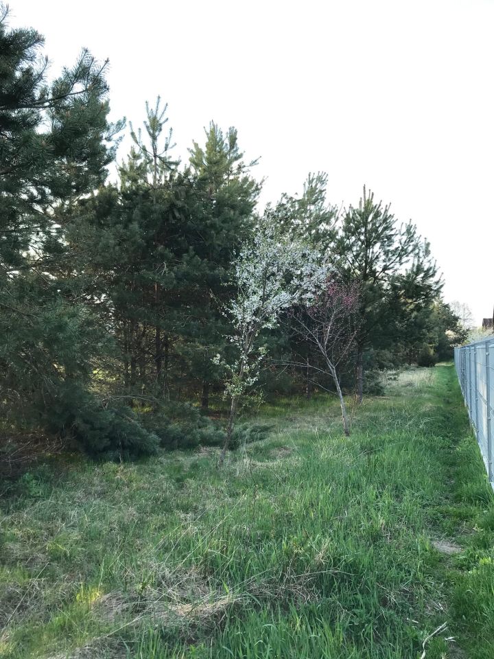 Zdjęcie #1